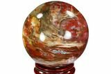 Colorful Petrified Wood Sphere - Madagascar #106983-1